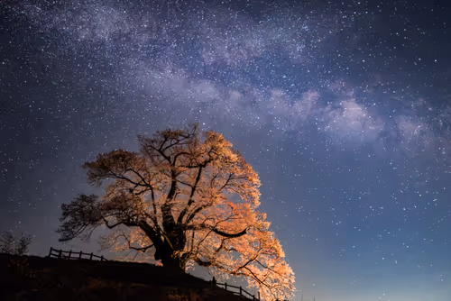 Item #108911492996146874115956011896780761878527851196280444702557873503973270355973 Media