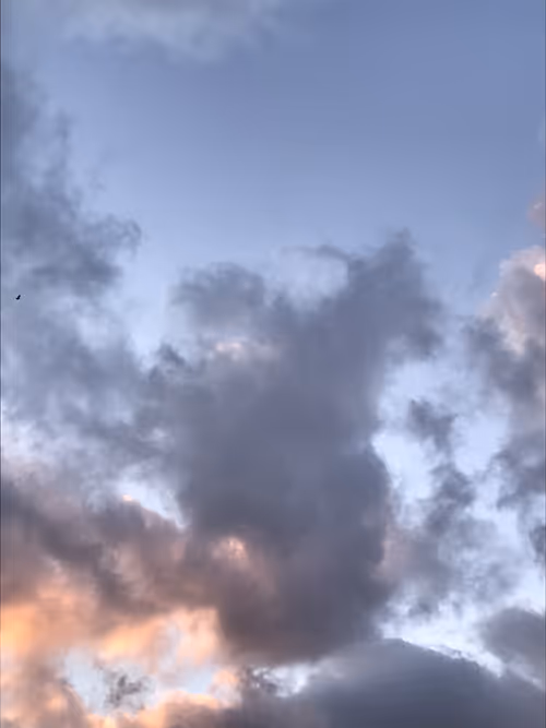 Item #18646559977629649480487143660393314070653216565938883771466586821451128504321 Media