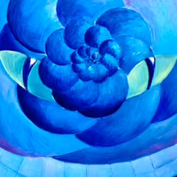 Cheshire Cat