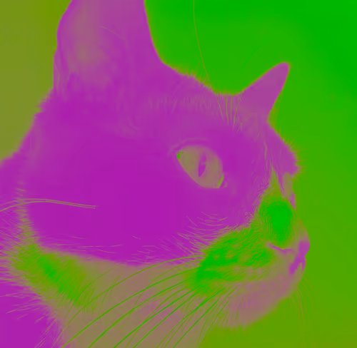 Item #62224154844929677022393842232947945299621837358898658373332336517286476120065 Media