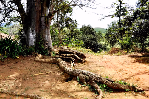 Item #79891436161549541429884862344900251113171213125295126698961100641665661534209 Media