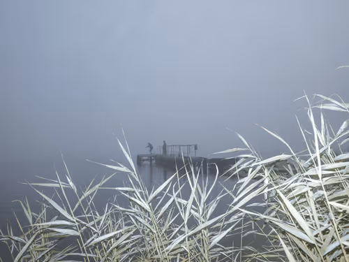 Item #91489771652883117203123253655635251422296171793985730674372275732470671867905 Media