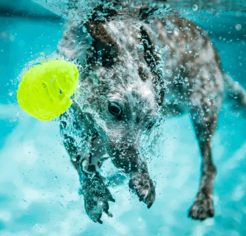 37123996989530421987136975137658183601992874580997828356353120968232052719617