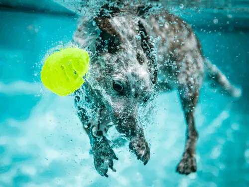 Item #37123996989530421987136975137658183601992874580997828356353120968232052719617 Media