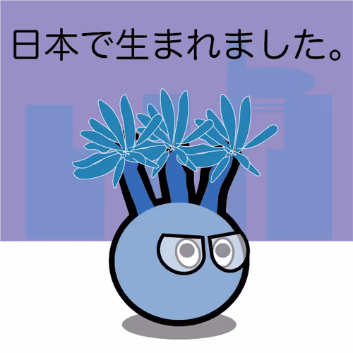 Bonob_Caudex_Gracilius Collection