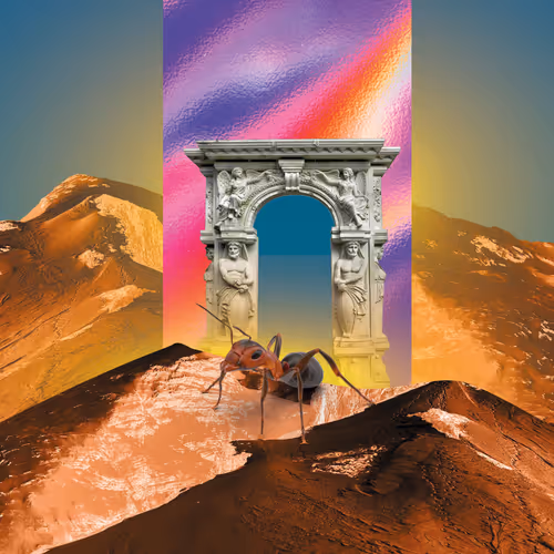 Item #98240601993675485984472209769470597995635738252390834860298305156929541898241 Media