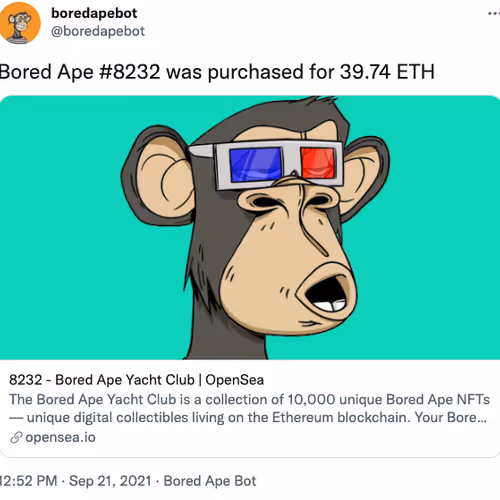 wrongplace Collection