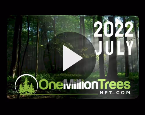 Item #25801989892845548526565125197399663131241948966790422528009322225502355718154 Media