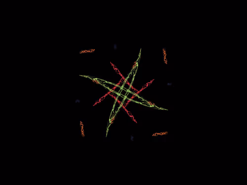 Item #88578266495960054087639387127985656807746726671874423354898244562318958526465 Media