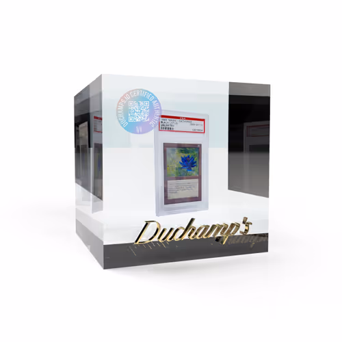 Item #8934526119241174373472330923927839952220810930830256094160748719684026630145 Media