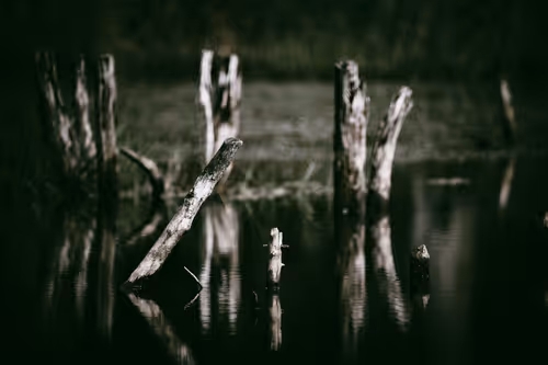 Item #46709965239587215851558087466762379659612403751449934923508460084705479360513 Media