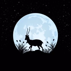 Animals By The Moon #67