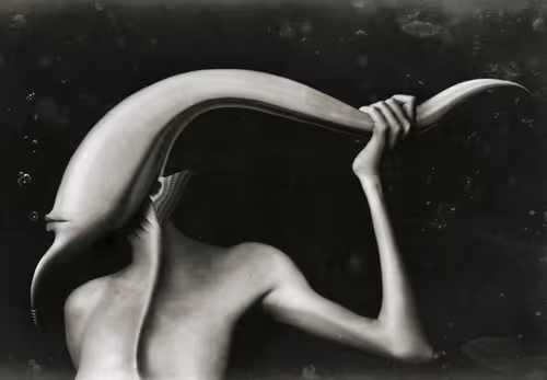 Item #8085254141654812684738761113738258081454055288701000052945293428096573112321 Media