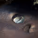 Eye of a Brownbanded Bamboo shark