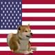 80578506183676658478768901482398293356595939625293938380243465587751913521162
