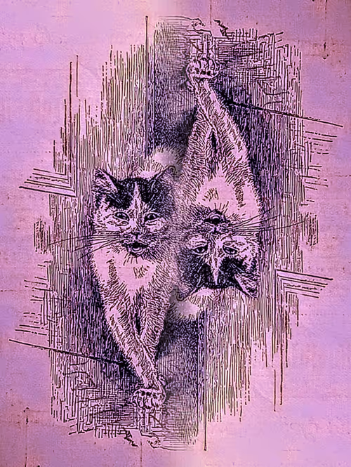 Item #35247308013863639916483757756408588227786114589757564733366544630914004025374 Media