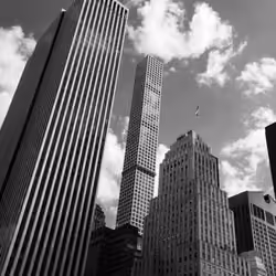 BLACK & WHITE New York State of Mind 8/8