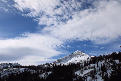 24379411385374025646552724438292174277941021441159272276396785484284945235969