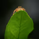 My Best Collections By Safeer Abees