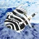 Zebra Fish #08