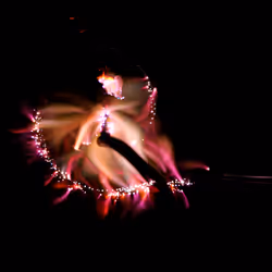 45731211464929816441170859700976373292149702980452148839612468938013470097409