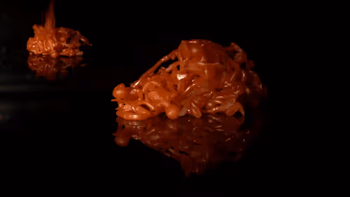 Item #16101337722085282298689115621610294664144615347996772178843194574766415544330 Media