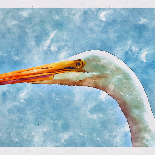 55704534837685659622621715309832868758345944585427688586690141431157017804801