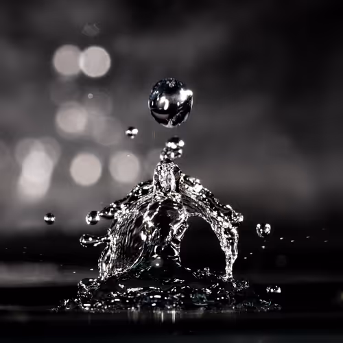 Item #93843816189578981246560604655943518308185846623120940061859981507923615416321 Media