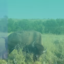 105089968166921690156624725616502706642431777719922472152070405782135919083521