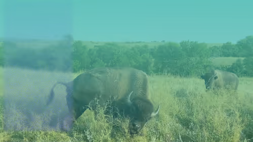 Item #105089968166921690156624725616502706642431777719922472152070405782135919083521 Media