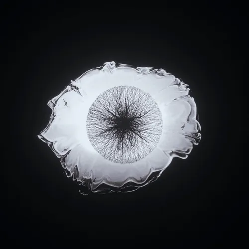 Item #90475300019647504969476160720196540669809442282223985366564712540236385615875 Media