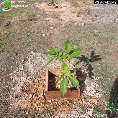 Item #8500196597889277390194123329501889087166328879864934763448348827014848839681 Media