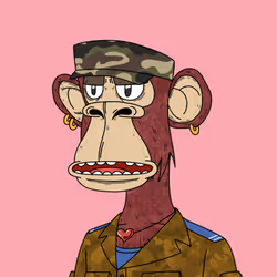 4119534363215704386097546207137915152686693618393889176988391245236188217345