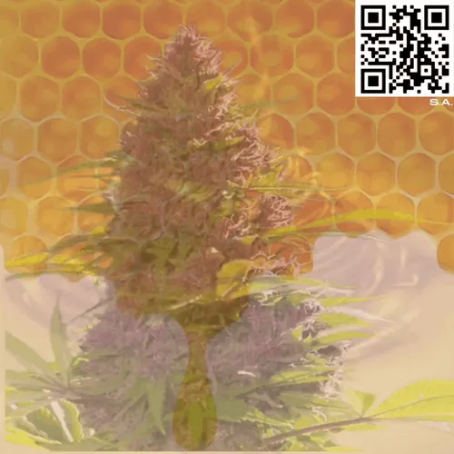 61089433673675855013240100592429788426200334601701735580530433799386120060929