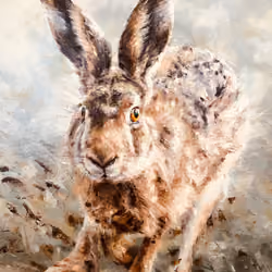 The Runner