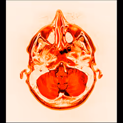 64162533542198579898252916190583583845604629893829087458582975849146599079937