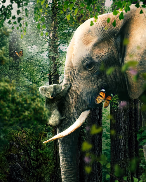 Item #106988062429929372675833834108051150195153636584817823885000792320561792417793 Media