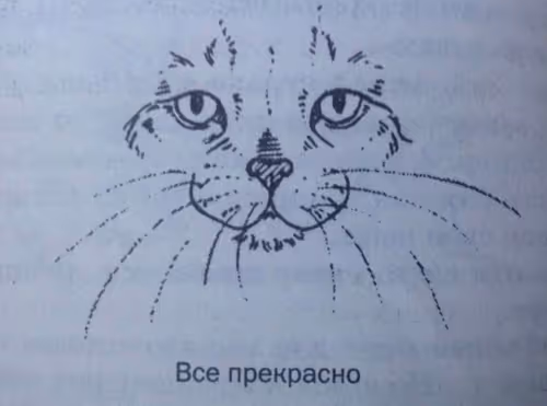 Item #67675785290960296044973462979543539122168338230170220243658419455540642971649 Media