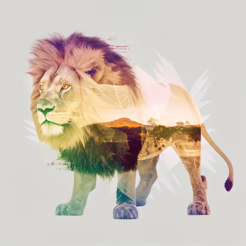 Item #61575379047601415453428880133456257057595022630199206926423671495758826176513 Media