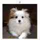 107993312556004178733959453557032613160573935846770935589602729185910217244673