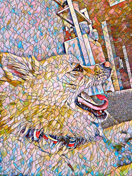 Item #109691074919996795536111699536855287894086748164974384566346973532748123209729 Media