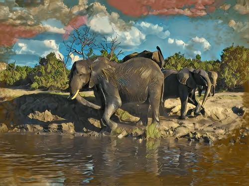 Untitled Collection #86913472