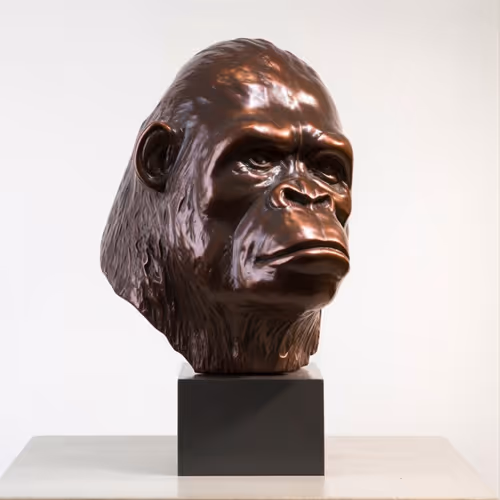 Item #76287133816210494683060693461716334234931774608590518424796729404693776695297 Media