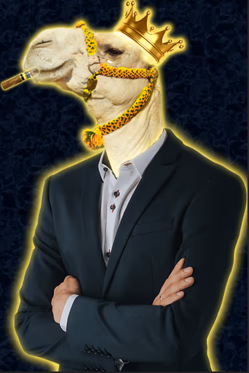 Item #87709704616118163095968237279182654954266126632210175785224260081557792882689 Media