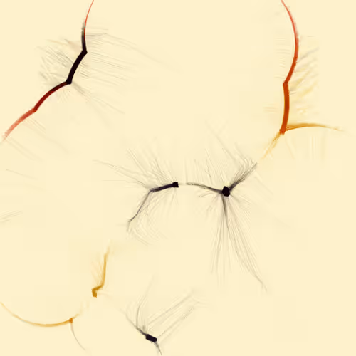 Item #74011109513159304894558377152860080667648997857135590135513699066999782506497 Media