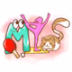 lucy_marl Collection