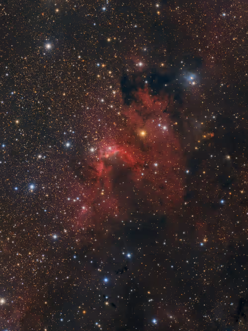 Item #108186161995134237610402563983755486596284983973067621403088740297766541983745 Media