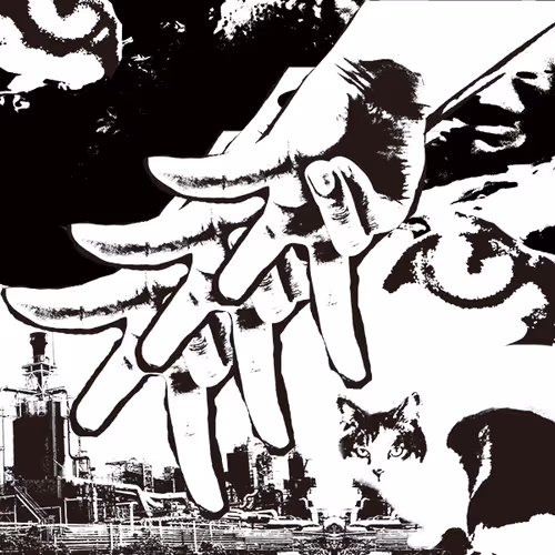 Item #33958699808135543051206687029695760471112019470911477130440949985653488091137 Media