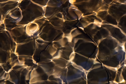 Item #81441334517361708208394031135700195474624799851237506988747107966697225584641 Media