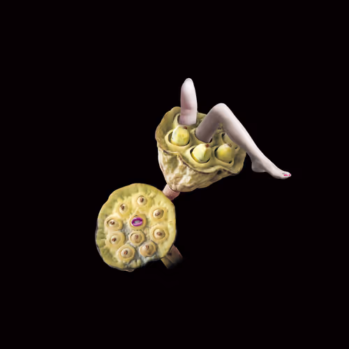 Item #58881391879356848682367030101924450645791658220730460031354841124190694670356 Media